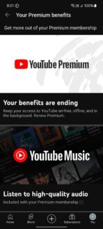 Youtube Premium Subscription- Monthly - Image 2