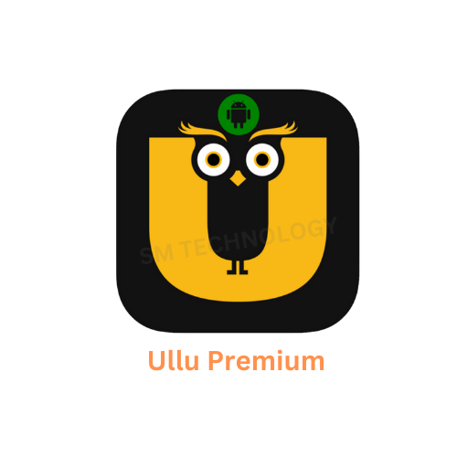 Black and White Simple Modern Thunder Lightning Bolt Logo (14) Ullu Premium - 1 Year - Image 1