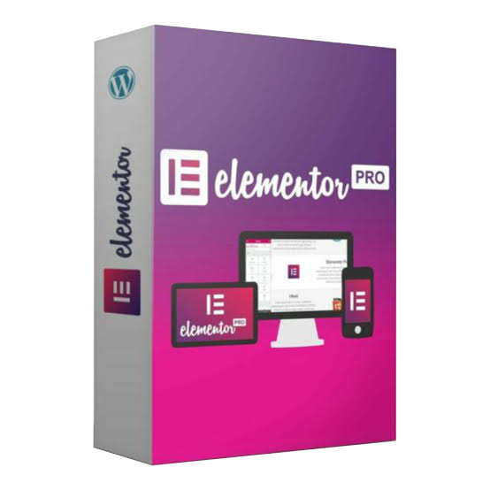 IMG_3369 Elementor Pro Plug-In - lifetime - Image 1